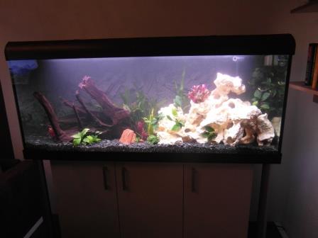 150x50x60_mit_seulen1