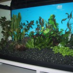 80er-set- aquarium3