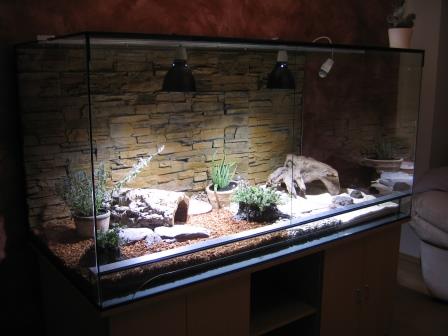 terrar-160x80x80-landschildkroetenbecken-2