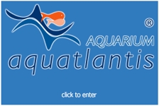 aquatlantis